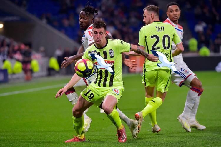 主场涅槃战？法甲对决：里昂能否撕碎图卢兹客场不败防线？